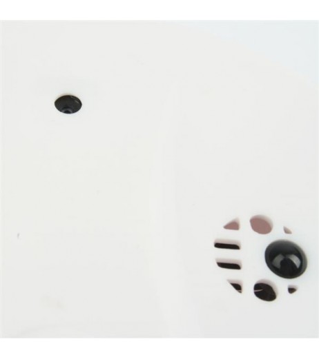 720 x 480 Remote Smoke Detector with Pinhole Camera DVR